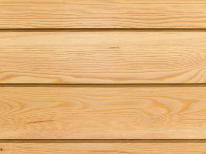 Close-up of Siberian larch grain
